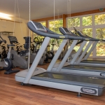 Cardio-Bereich